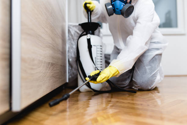 Pest Control for Restaurants in Carle Place, NY