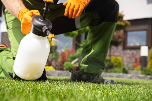Best Termite Control Services  in Carle Place, NY