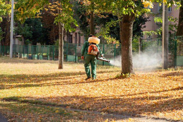 Best Wasp Removal Services  in Carle Place, NY