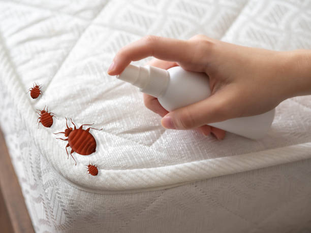Best Mosquito Control Services  in Carle Place, NY