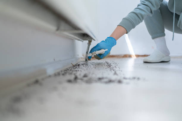 Pest Control Cost in Carle Place, NY