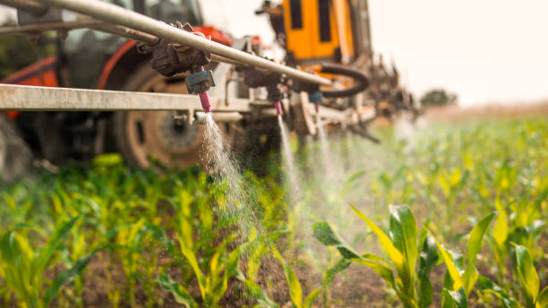 Best Pest Control for Homes  in Carle Place, NY